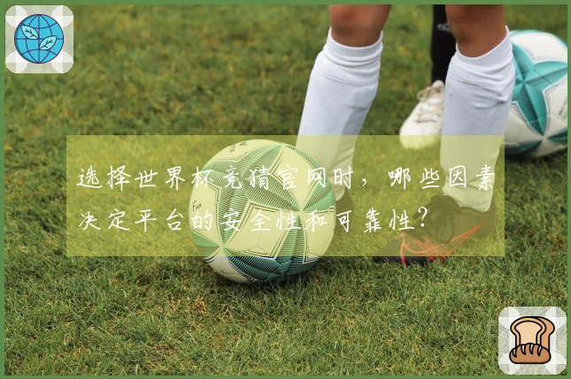 选择世界杯竞猜官网时，哪些因素决定平台的安全性和可靠性？