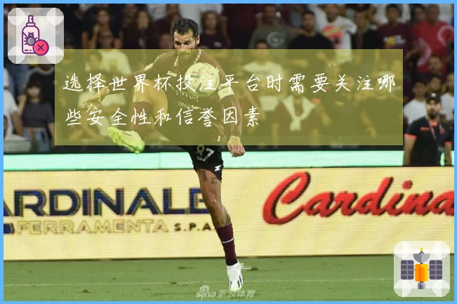 选择世界杯投注平台时需要关注哪些安全性和信誉因素