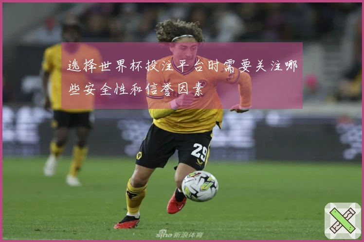 选择世界杯投注平台时需要关注哪些安全性和信誉因素
