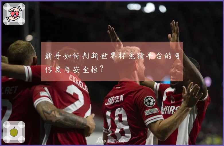 新手如何判断世界杯竞猜平台的可信度与安全性？